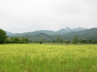 Overview the background of the Apuan Alps where the Omo Morto