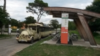 Migliarino San Rossore Massaciuccoli Natural Park, Train tours