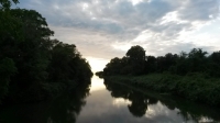 Migliarino San Rossore Massaciuccoli Natural Park, Canal