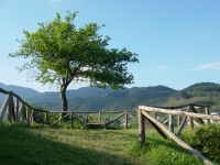 La Rocca di Castiglione - Giardino.